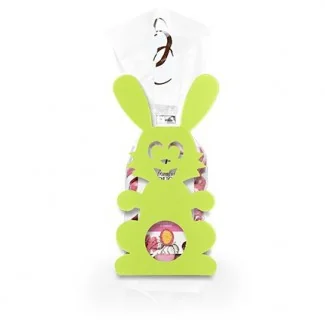 ETUI OSCAR LAPINOU ANIST T1 2